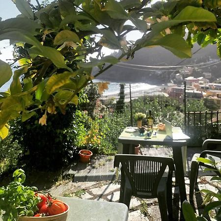 Cozy Beach House With Nice Garden, Basic Feel Lägenhet Bonassola Exteriör bild