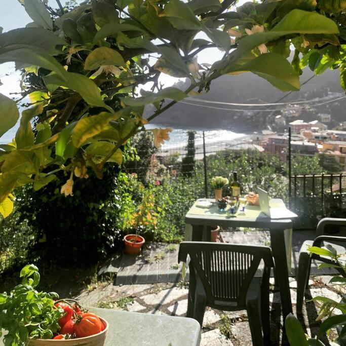 Cozy Beach House With Nice Garden, Basic Feel Lägenhet Bonassola Exteriör bild